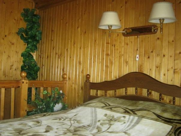 Vodogray Hotel Zaporizhia Bilik gambar
